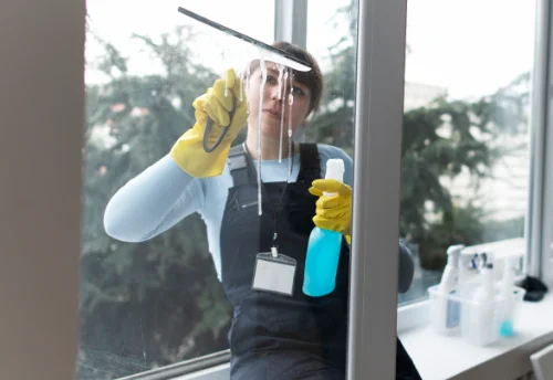 Nettoyage de vitres intérieures et extérieures à Pleumartin